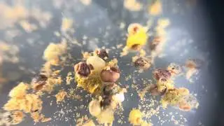 Baby Mystery Snails! Loads of color! #aquarium #mysterysnail #snail #breeding #animals #micro
