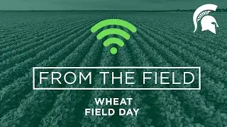 2021 Wheat Field Day - Lacie Thomas