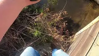 Catching a Rainbow Trout out of a Eastern Sierra Mountain Stream