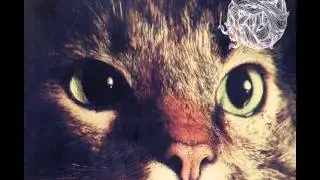 Sonic Future - Waiting For (Original Mix) [Suara]