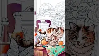 #coloringbook #cats #고양이