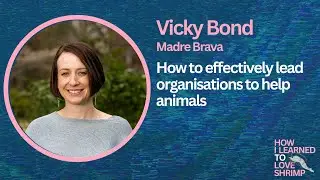 Vicky Bond on what it&rsquo;s really like to lead in animal advocacy