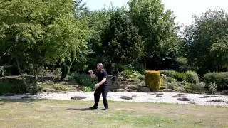 Free, 2 Minute Tai Chi Lesson, for Beginners.