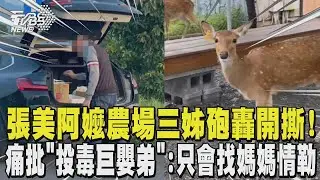 張美阿嬤農場三姊砲轟開撕! 痛批「投毒巨嬰弟」:只會找媽媽情勒｜TVBS新聞 @TVBSNEWS01