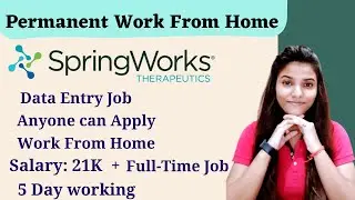 🔴Spring works Data Entry Job | 100% Work from Home | 12th/Graduate/PG/
