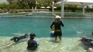 Ripley the Dolphin and me Clips part 2