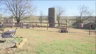 Dragonfly Farm--Farm Focus