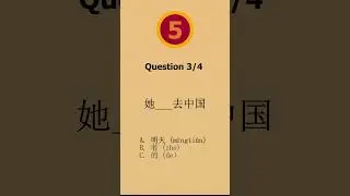 Mandarin Chinese Test for Beginners! #shorts  #learnchinese #chinesegrammarforbeginners