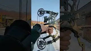 Dual-purpose Continuous Shooting Steel Ball Compound Bow #compoundbow#fyp #tools #outdoors #hunting
