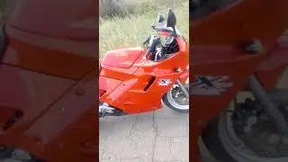 Suzuki gsx250f across