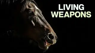 These Horses Were Deadlier Than Knights