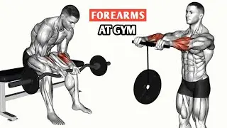 Forearm Exercises At Gym | Top 6 Exercises For Bigger Forearms