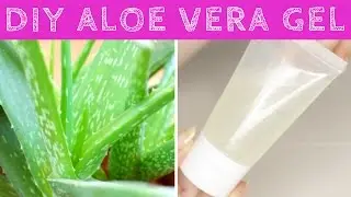 How to Make Aloe Vera Gel at Home from Scratch | DIY Aloe Vera Gel