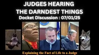 Judges Hear The Darndest Things  -  Docket Discussion July 01, 2025