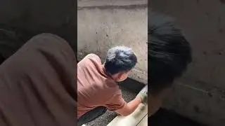 Professional worker installing ceramic floor tiles with precision leveling,smooth surface alignment