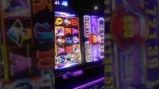 Max bet pokie rhino hyper hits feature