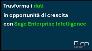 Sage Enterprise Intelligence (SEI) - Panoramica