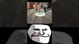 Grandpa Troll face edit 😈⚡#granny #shorts #trollface
