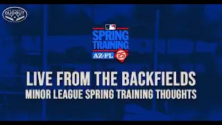 Florida Minor League Spring Training Standouts