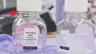 British company ramps up production for COVID-19 test kits