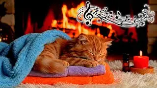 🔮 Relaxing Music for Anxiety Cat &ndash; Anti-Stress Melodies for Calming Feline Mood 🎼