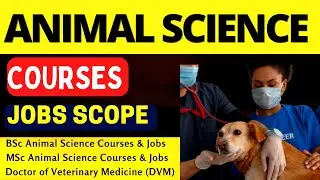 Animal Sciences : Animal Science Degree jobs I Animal Science Major I Veterinarian jobs