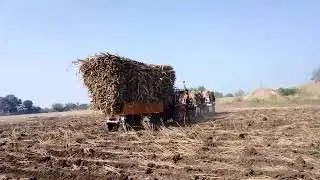 Kubota 5501 + Arjun mahindra 555 + arjun mahindra 605 || uk tractors 🔥🔥