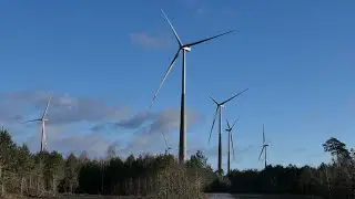 Nordex N175 6.8 179 m Hubhigh Full Power Wind Farm Mahlsdorf /Groß Ziescht