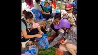 Orphaned Hmong girl, Harvesting snails and bring them to the market to sell ,Building Self Life