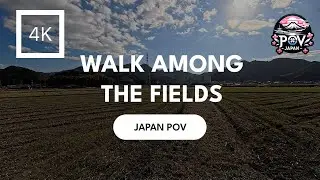 Immerse yourself: Experience the beauty of Japanese fields in 4K POV