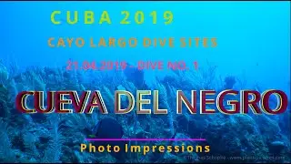 CUBA - Cayo Lago 21/04/2019 - Diving at CUEVA DEL NEGRO