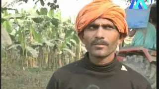 Problems of Banana Farmers