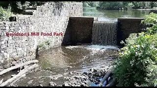 Davidson's Mill Pond Park