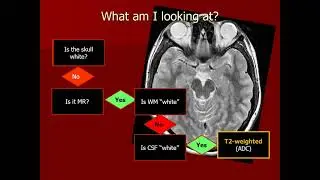 Introduction to Imaging  What am I looking at
