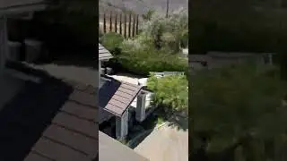 🐝 O.C. Bee Guy to the Rescue! Live Bee Removal from a Chimney in Orange County 🏠🔥 #BeeRescue
