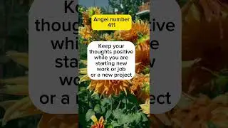 Angel number 411 | 411 angel number #angelnumber411 #411angel number #411 #twinflame #twinflames