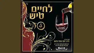 Nigun Viznitz