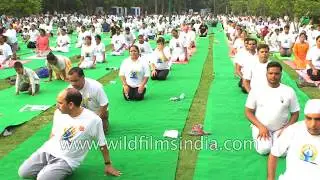Yoga day - Indians do Yog Asanas en masse in Delhi