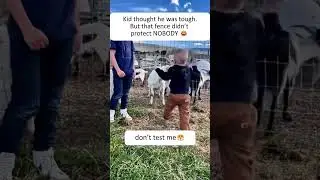 Beware the angry goat🐐🐏😂❤️ #goats #goat #funnygoats #pet #pets #goatslover #funny #us