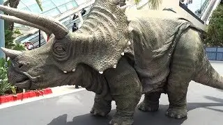 Triceratops Encounter in Jurassic World at Universal Studios Hollywood