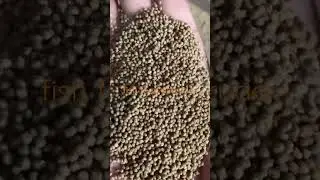 Floating fish food extruder #factory #extrusion #farm #extrudermachine #pets #production #dog
