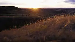 Within Range at Grasslands National Park West Block