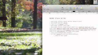 Install NGINX on Apache LAMP Server with SSL