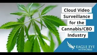Webinar: Video Surveillance for the Cannabis Industry