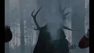 Woods are full of mystery... dark spirit of woods & Nurme brewery