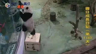 圓仔直播精華 | 20161001 開心等下班