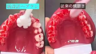 縦磨き専用ハブラシTate.