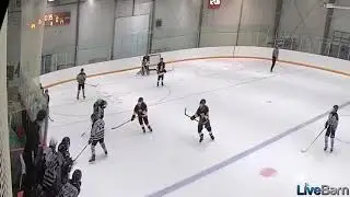 P3 Beasts   Highlights 200 Foot Hockey