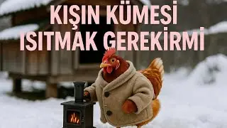 Kışın Kümes Isıtması Şart mı? Bilim ve Saha Gerçeği