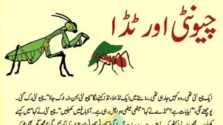 Chunti Aur Didha | چیونٹی اور ٹڈا | Aasho Voice